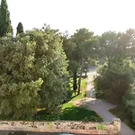 Da Vinko Beach Apartments